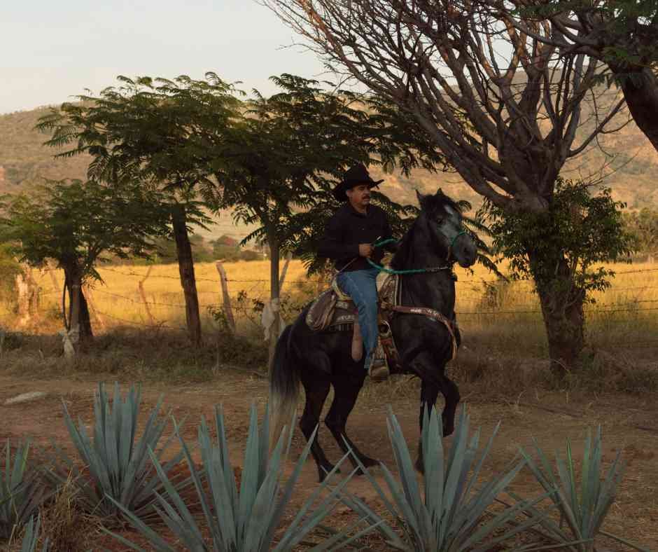Cabalgata al Atardecer