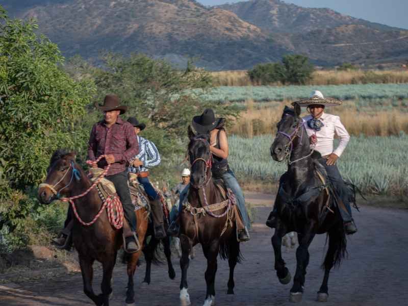 Cabalgata Don Jacinto