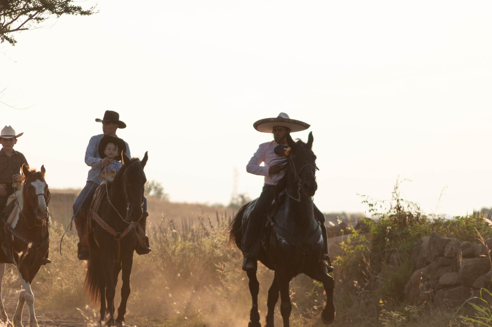 Tradición Tequilera
