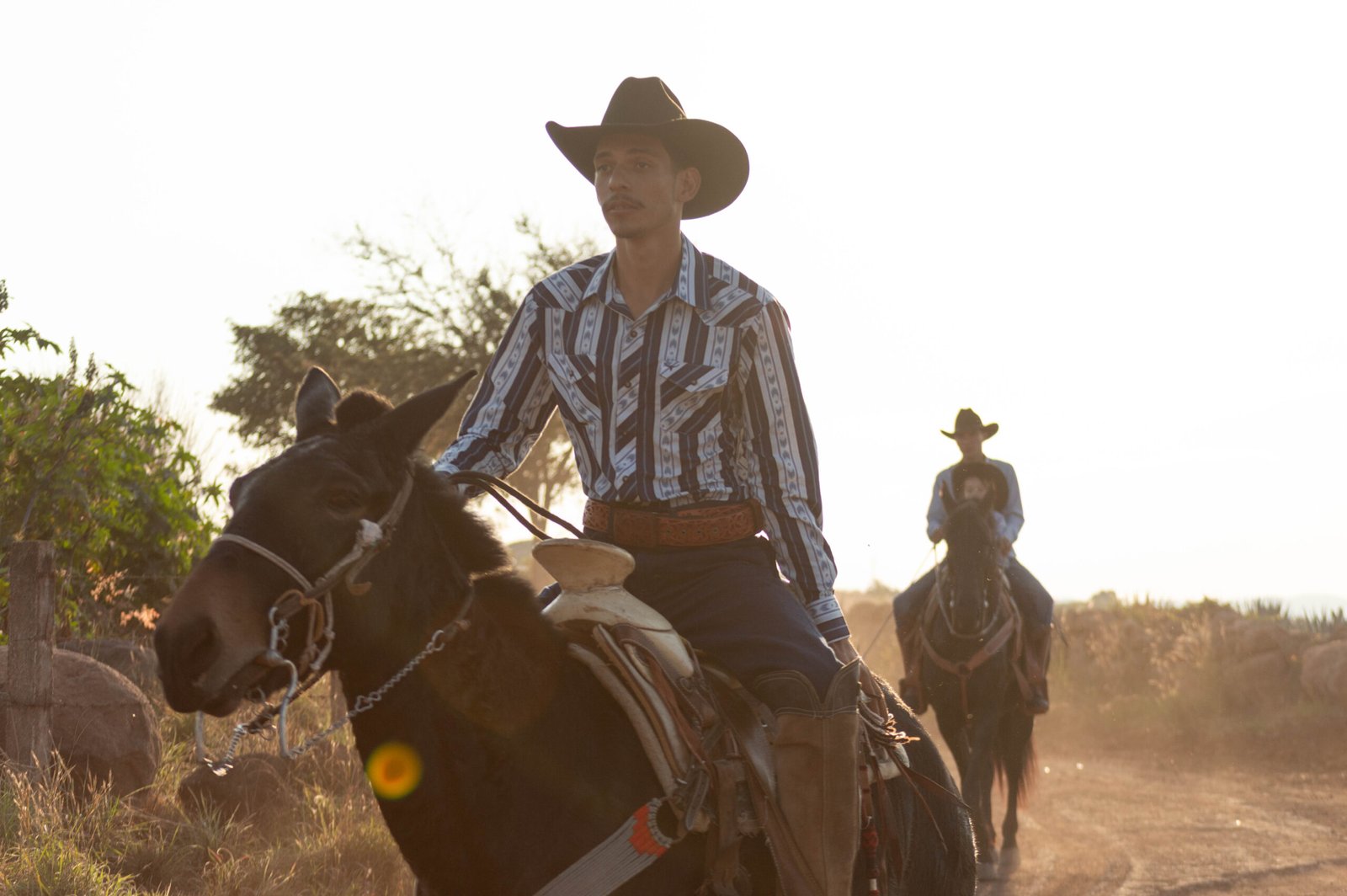 Degustación de Tequila