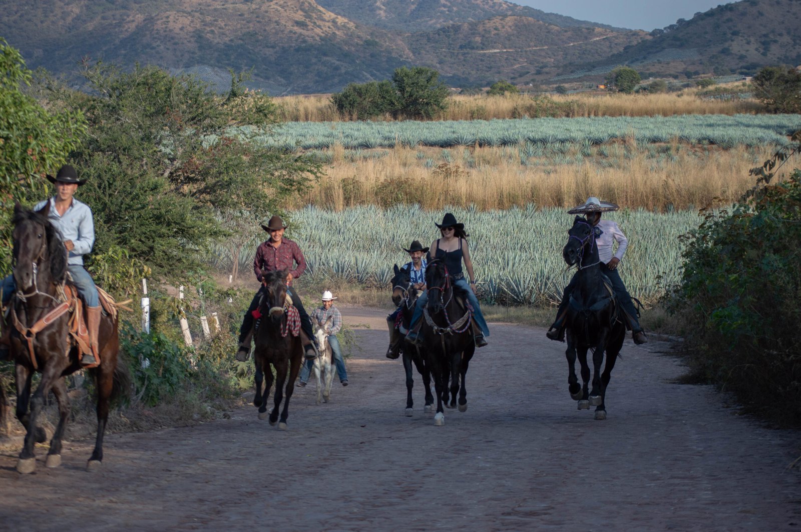 Cabalgata Don Jacinto