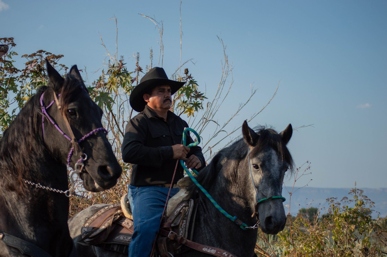 Cabalgata por Campos