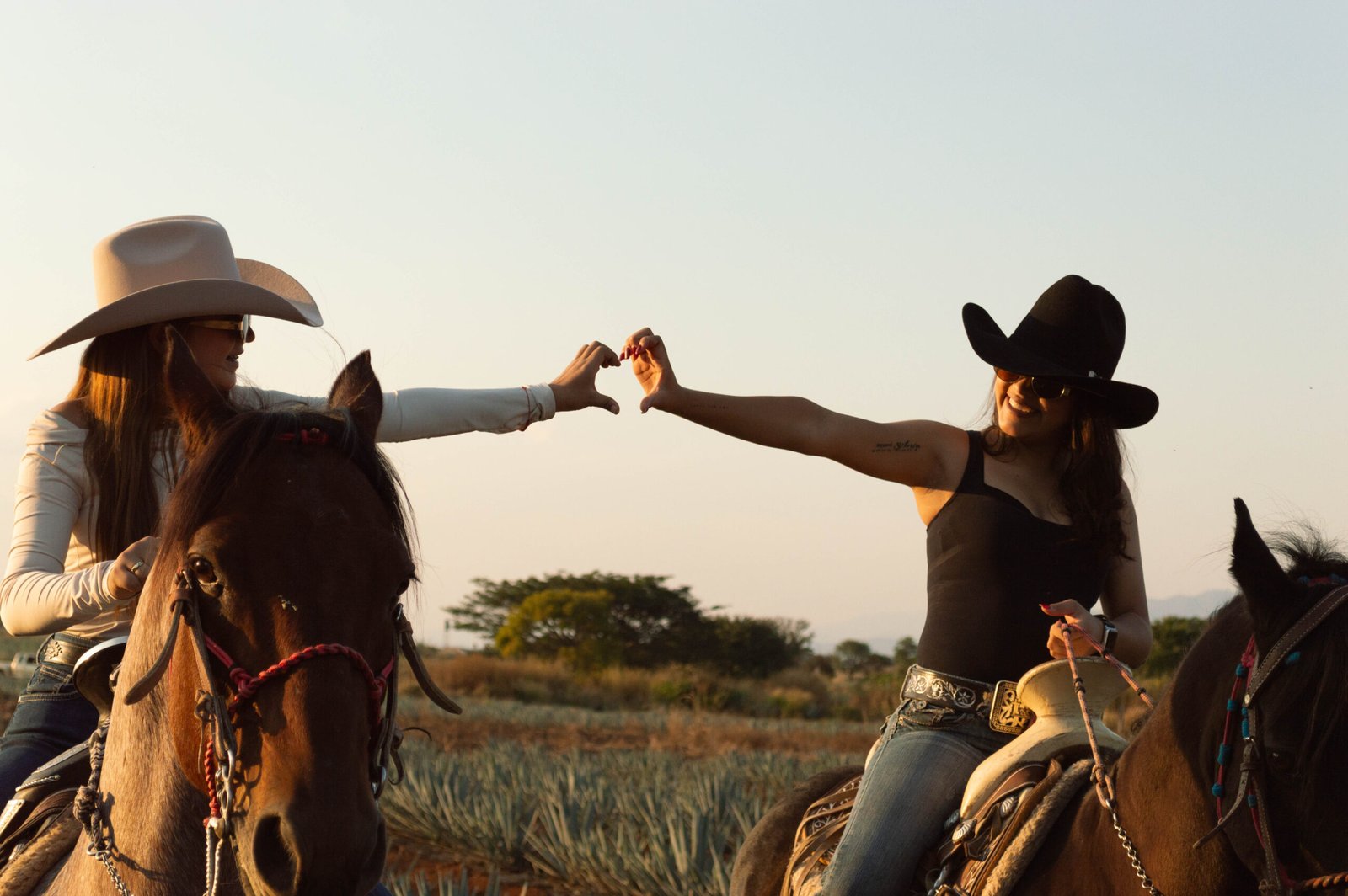 Cabalgata Don Jacinto