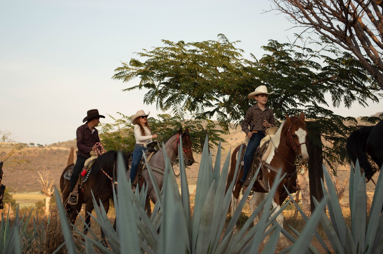 Cabalgata por Campos