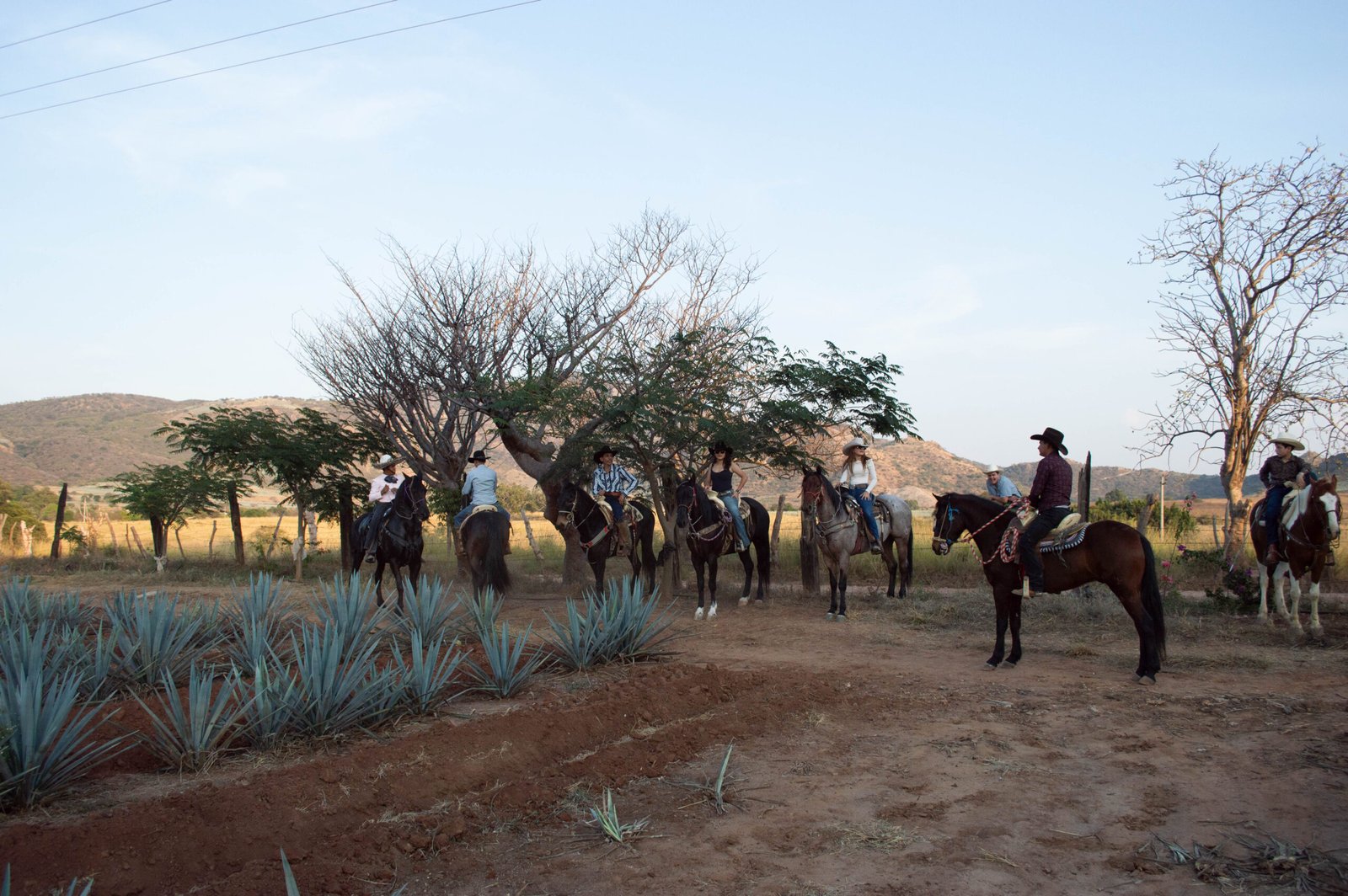Tradición Tequilera
