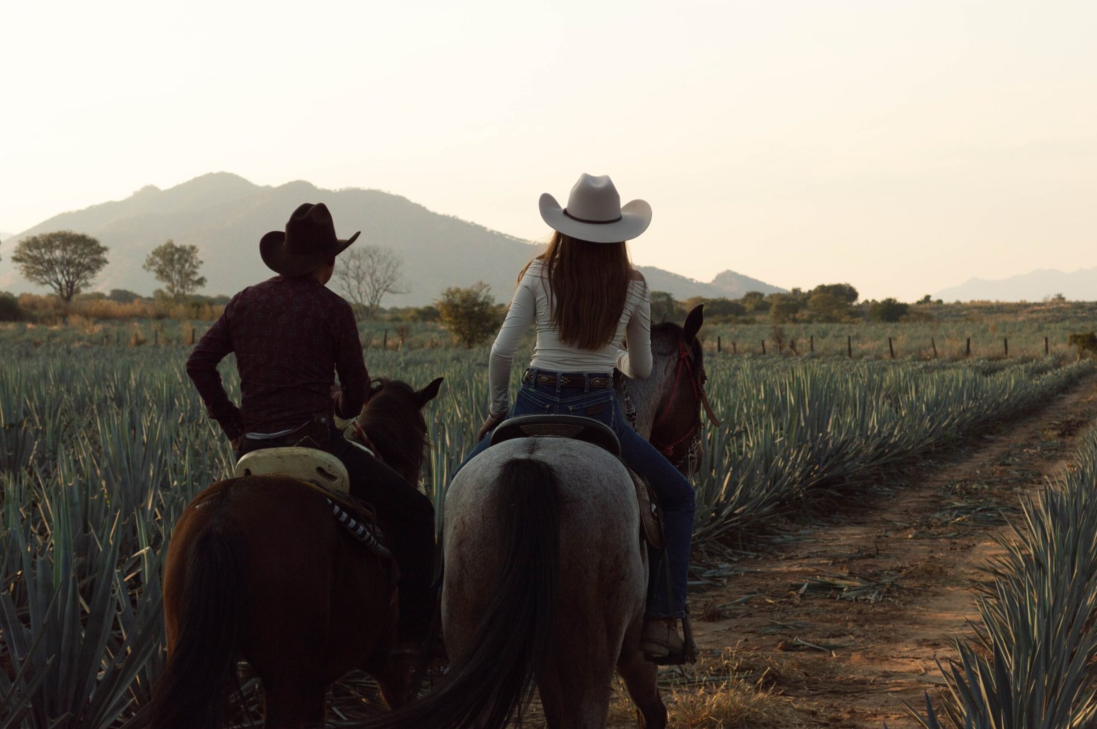Degustación de Tequila