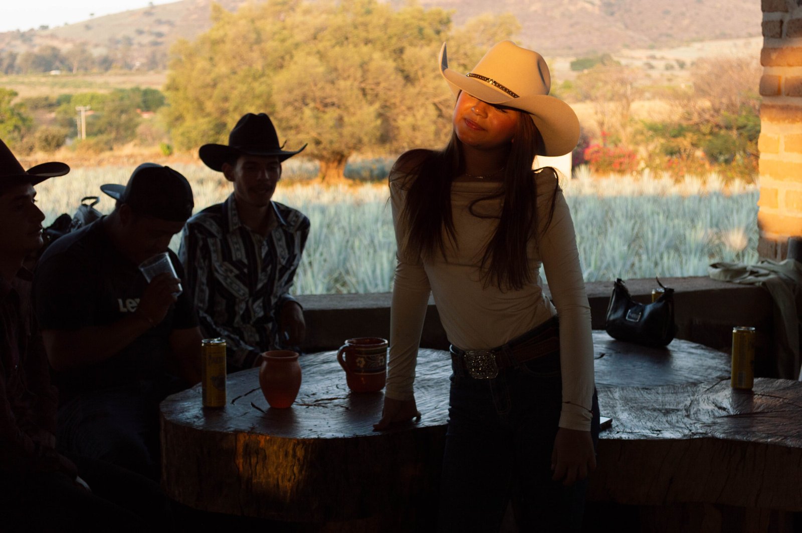 Plantación de agave