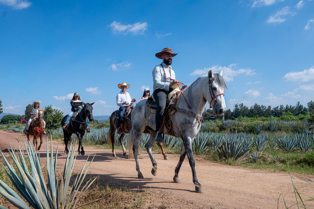 Cabalgata por lomas de Amatitán