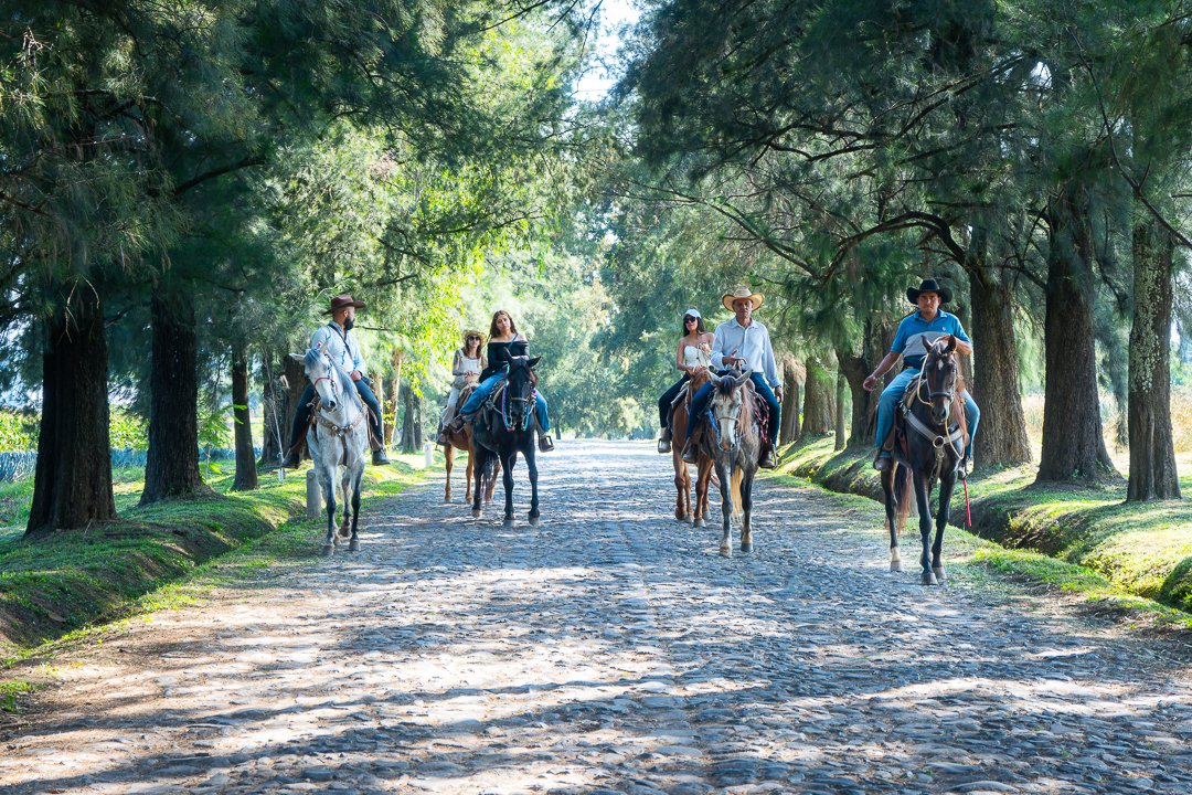 Cabalgata por caminos rurales