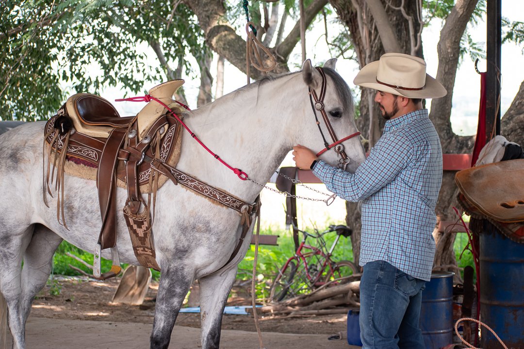 Experiencia de cabalgata
