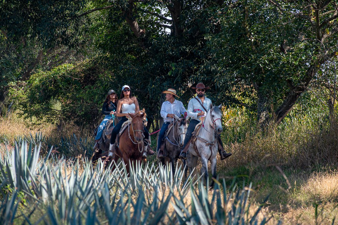 Senderos rurales Amatitán