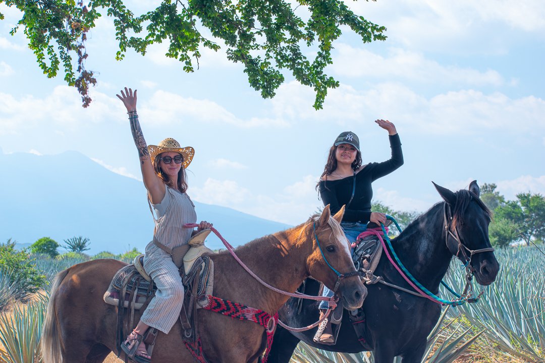 Vistas panorámicas desde la cabalgata