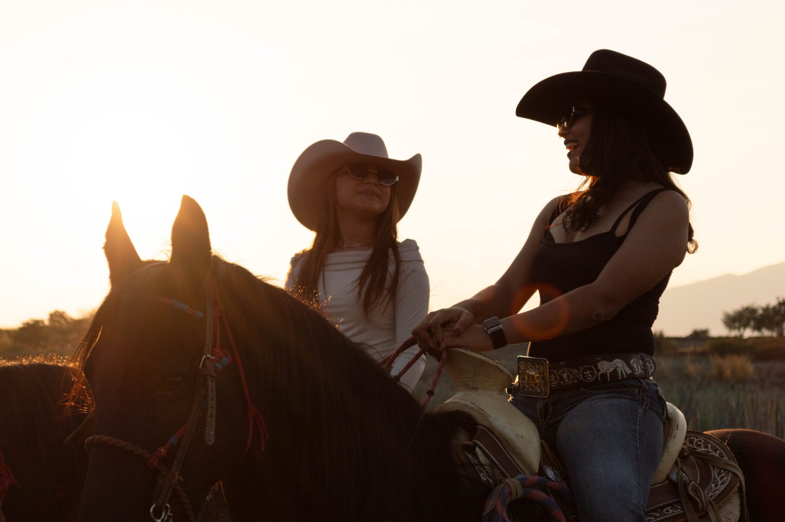 Tradición Tequilera