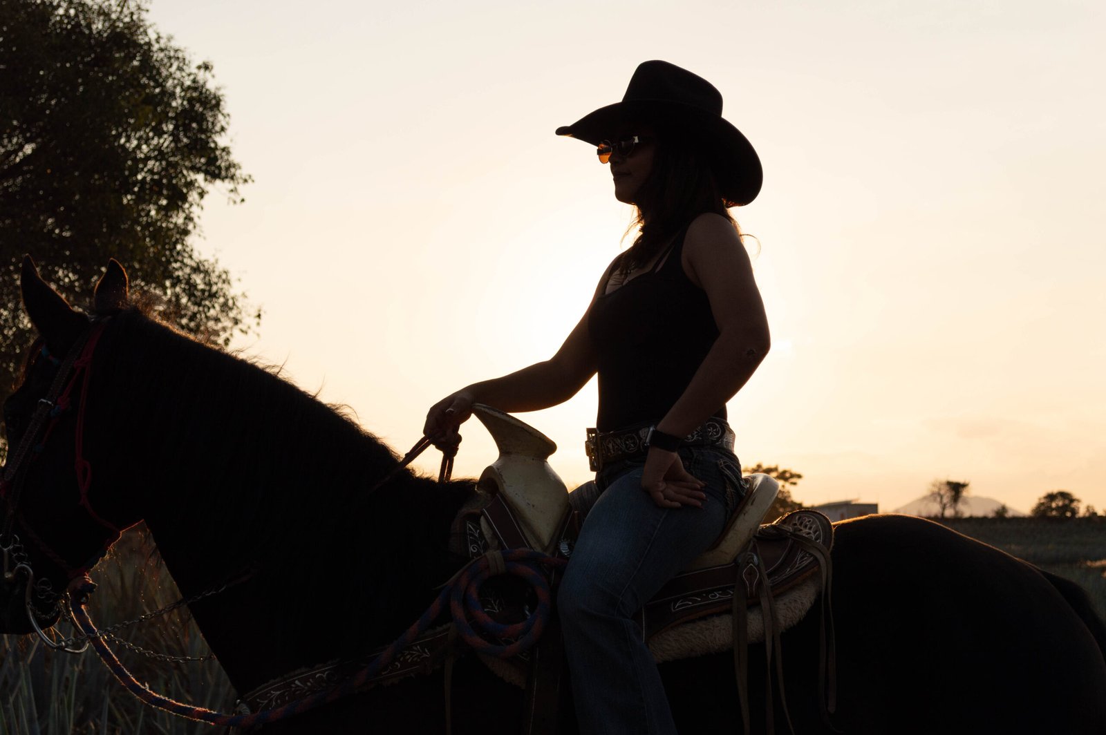 Degustación de Tequila