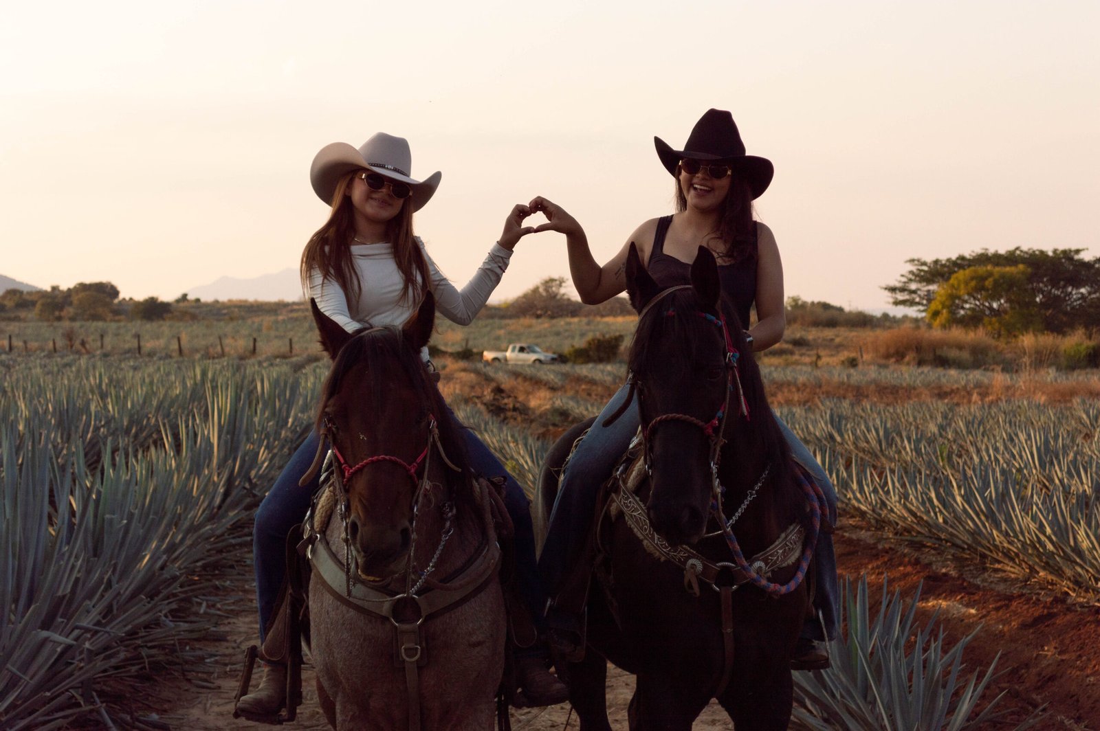 Gastronomía del rancho
