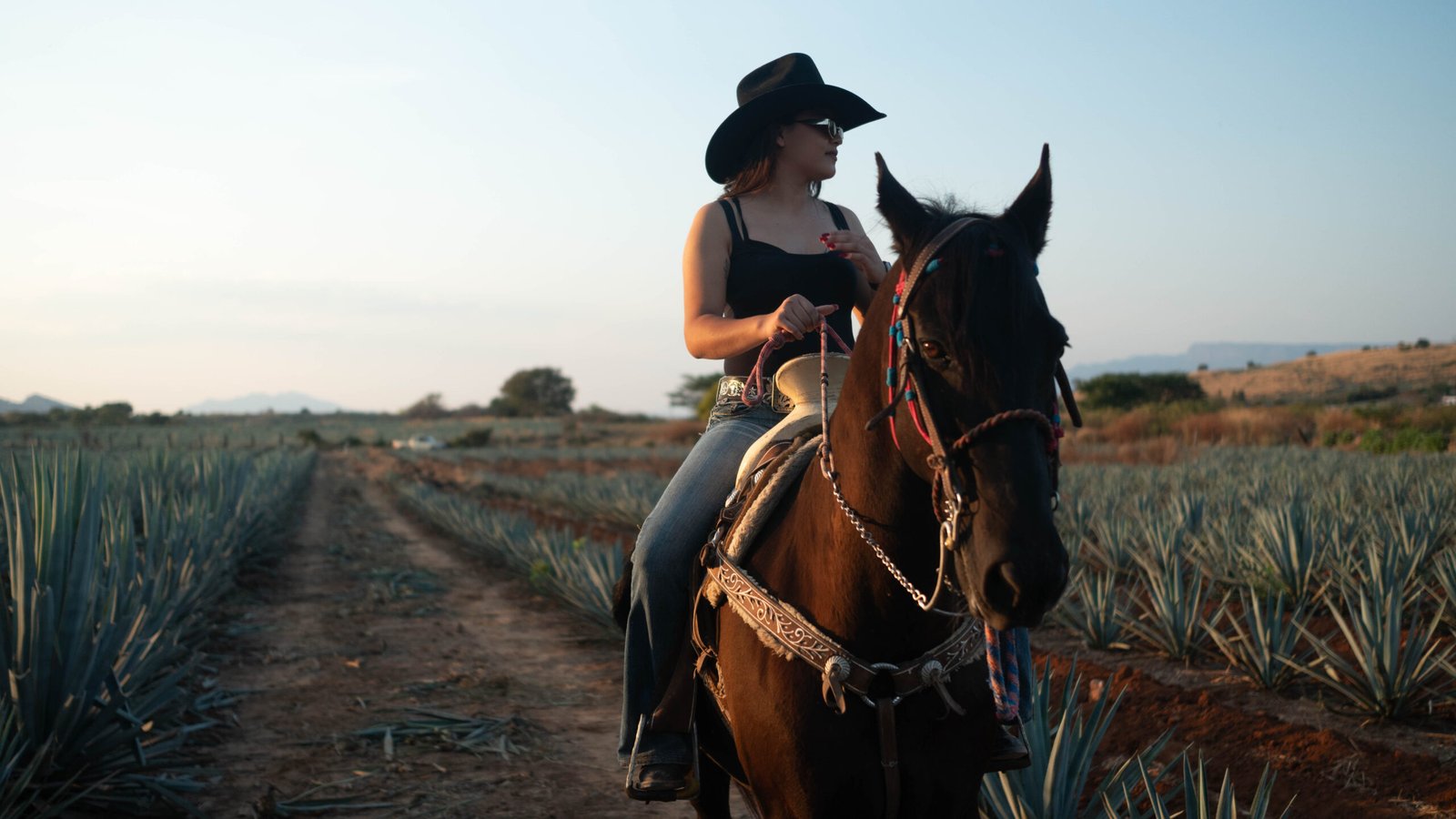 Cabalgata Don Jacinto