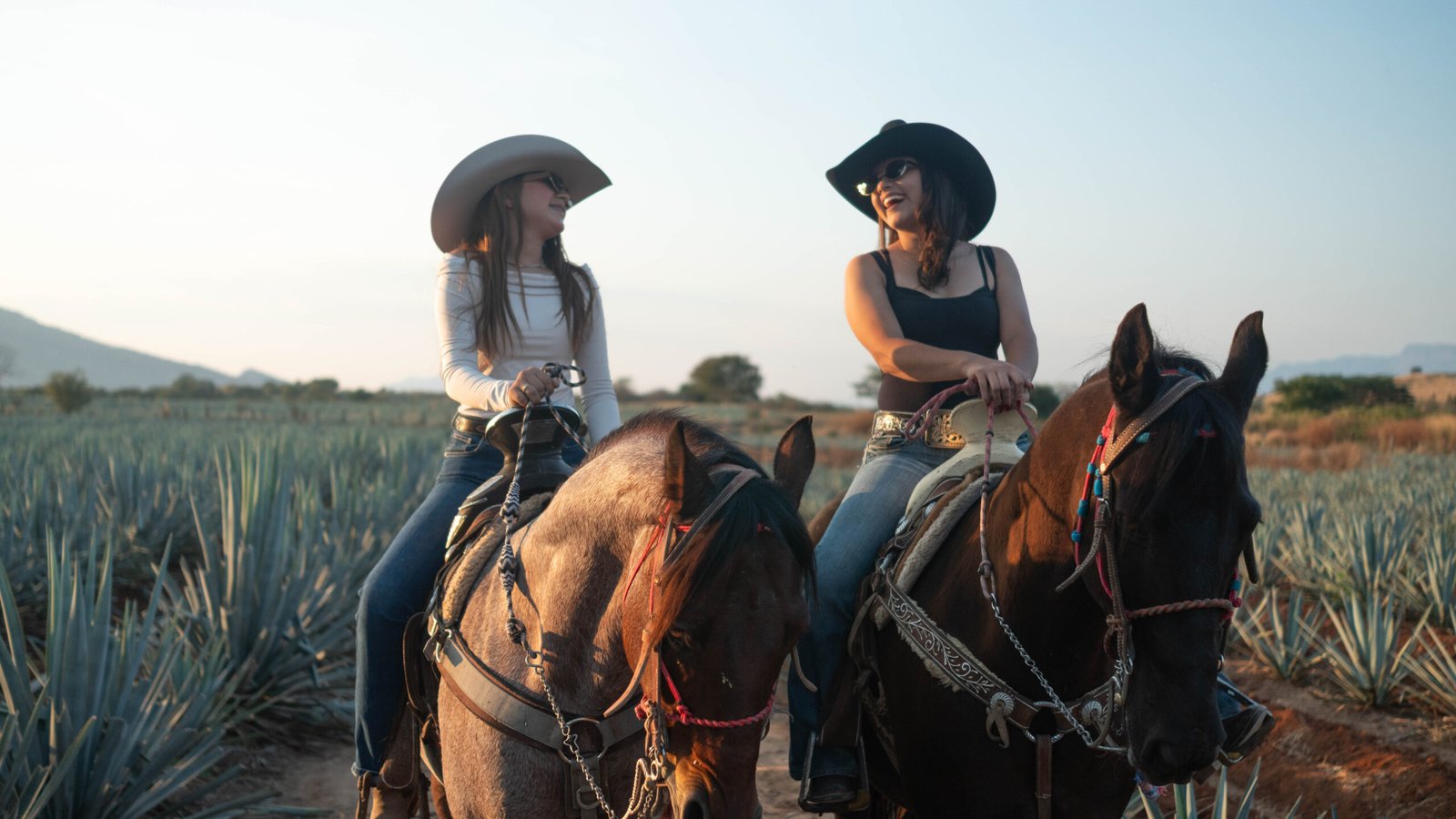 Cabalgata Don Jacinto