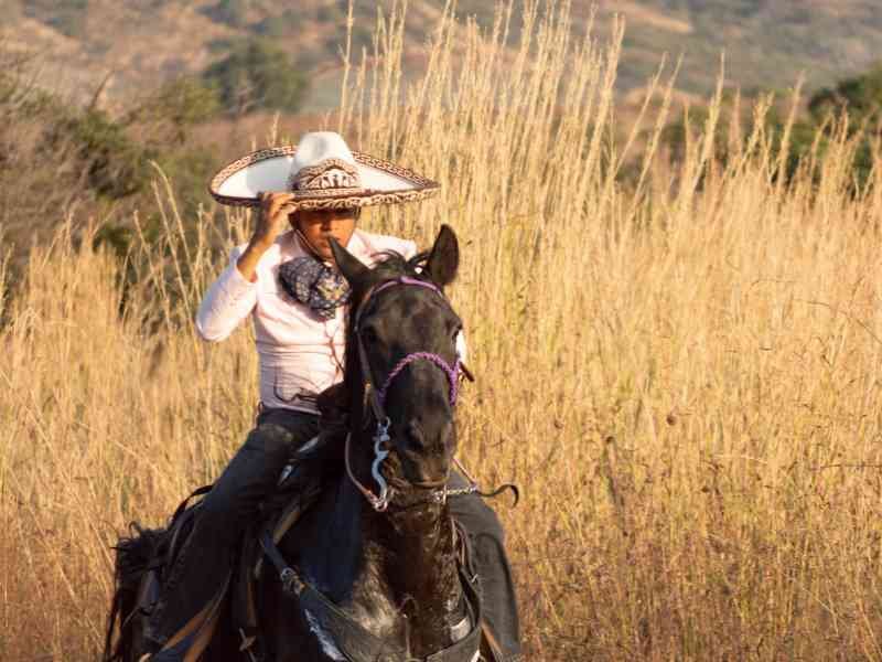 Cabalgata al Atardecer
