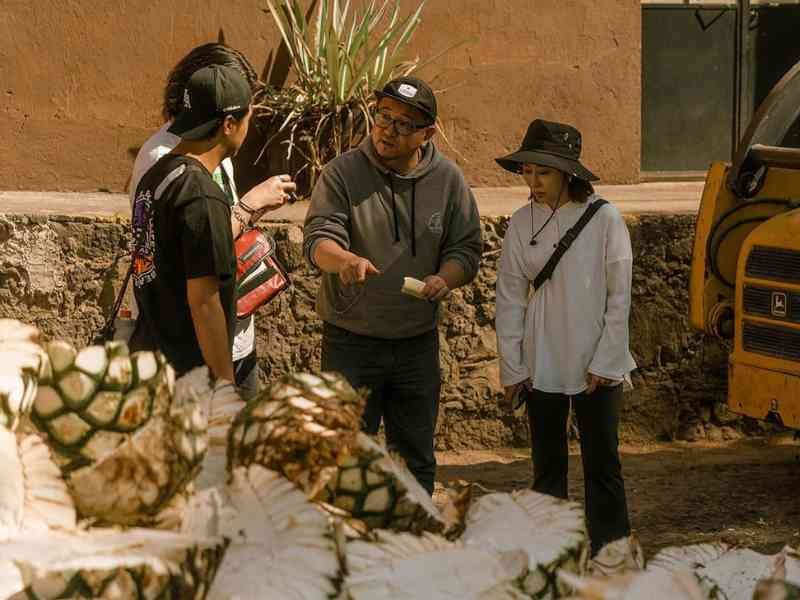 Experiencia Jalisco Completa