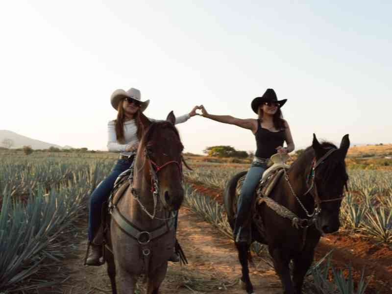 Cabalgata al Atardecer