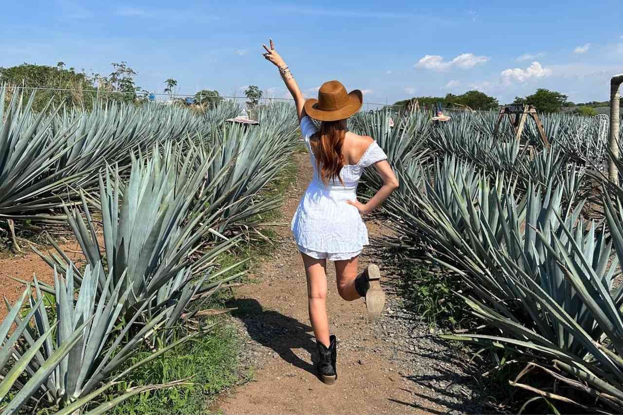 Tequila