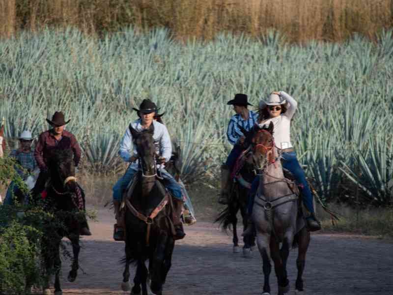 Cabalgata Don Urbano