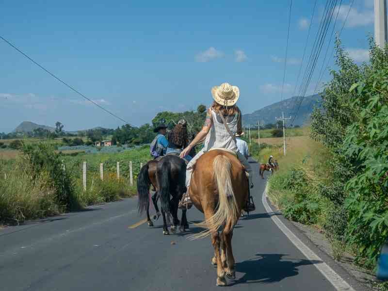 Tour Tequila Esencia del Agave