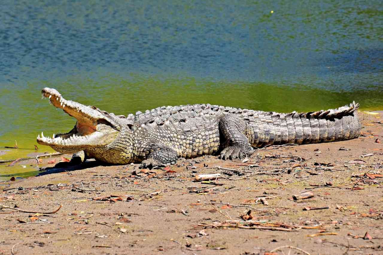 Aeropuerto de Guadalajara