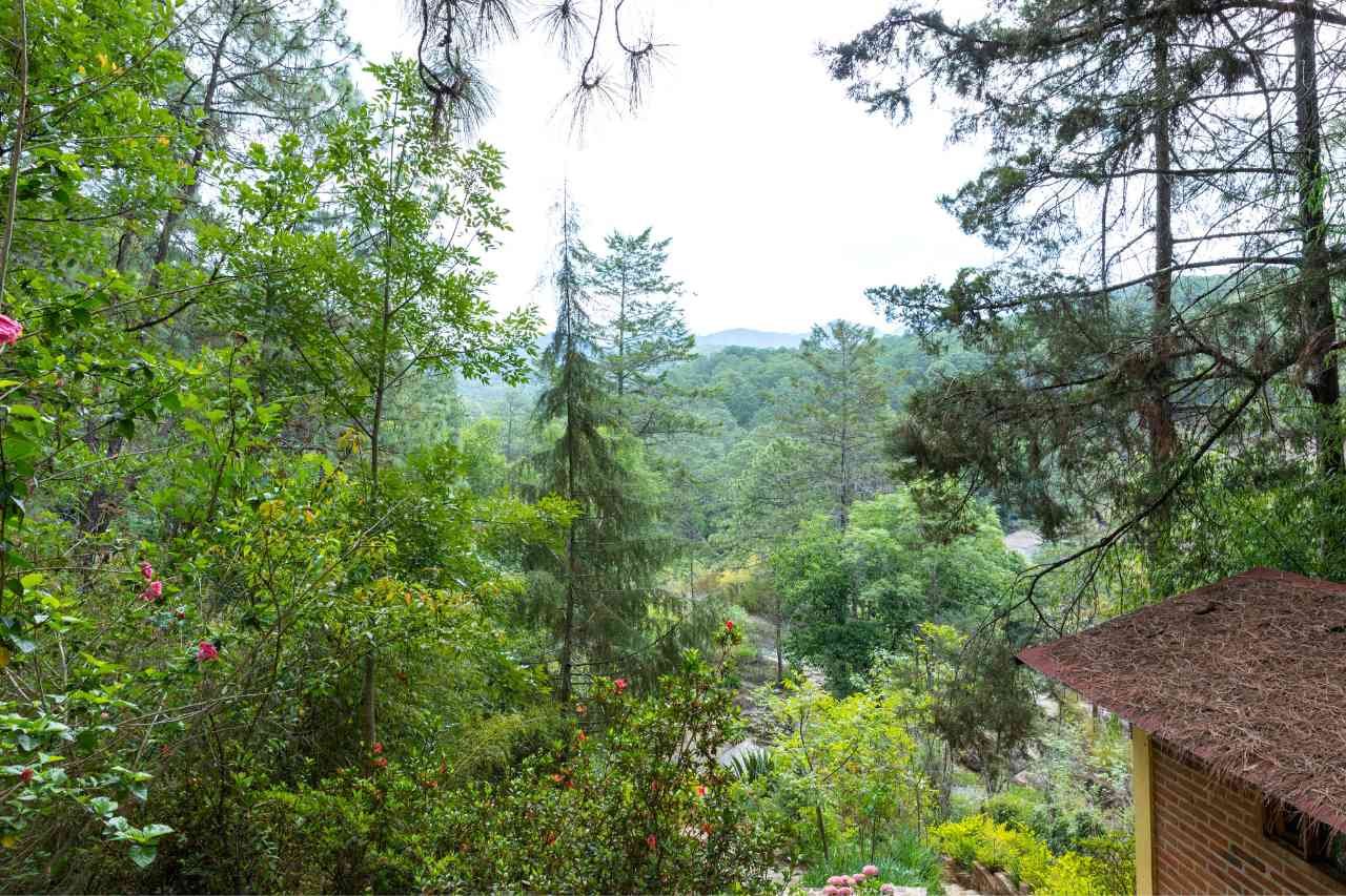 Equipaje seguro en camioneta