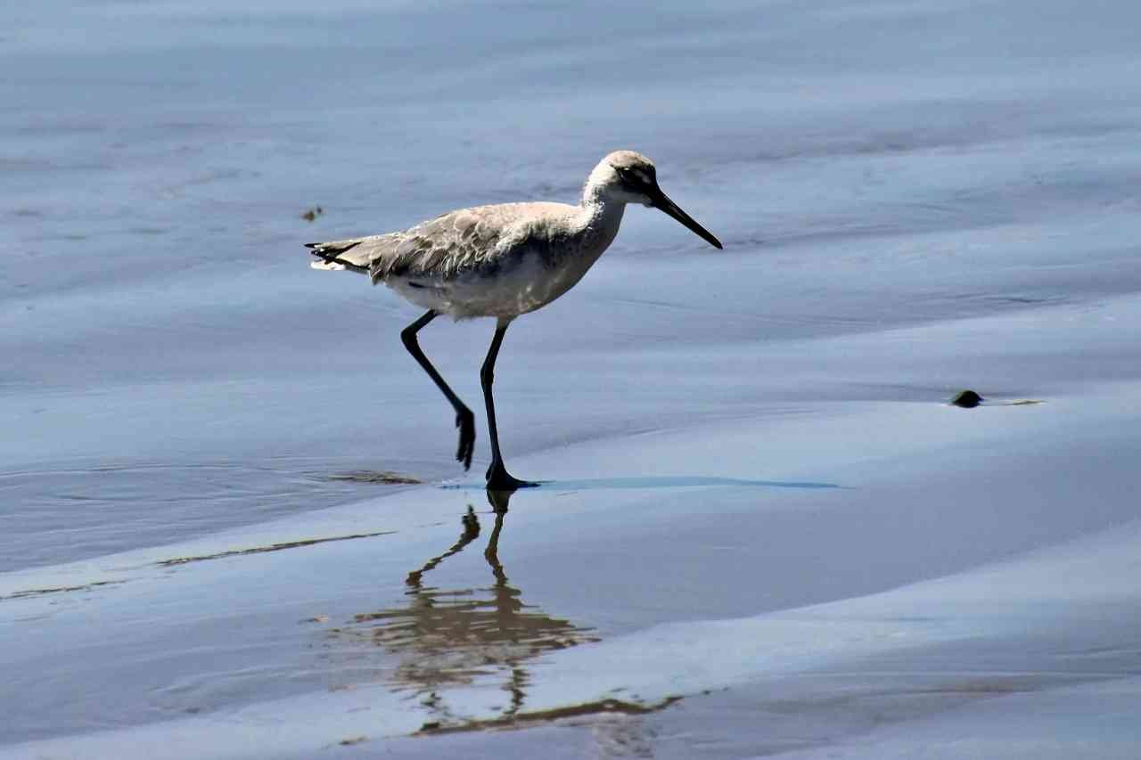 Atardecer en Bahía de Banderas