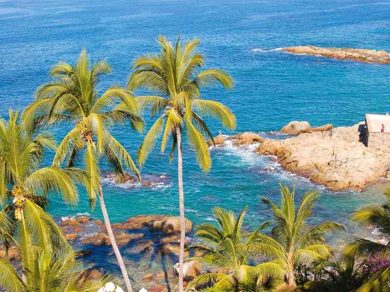 Transporte Ejecutivo