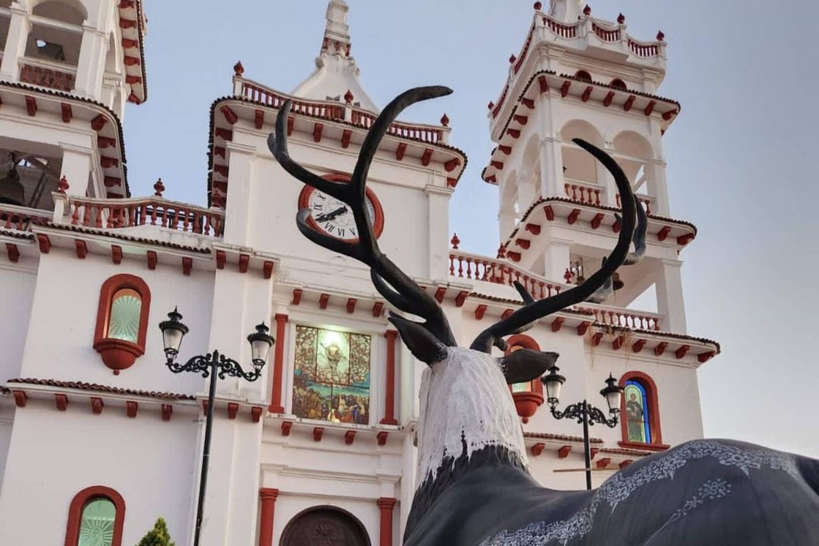 Naturaleza en la Sierra Madre