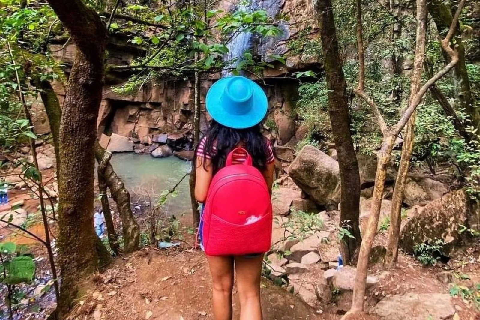 Cuatrimotos en el bosque