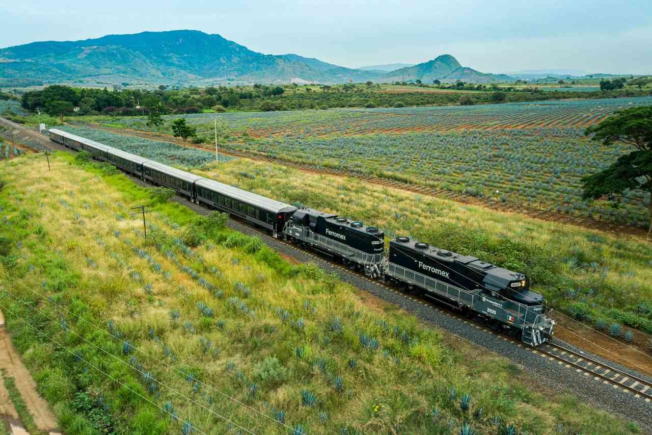 Degustación Tequila